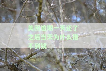 美团借钱：逾期一天还款后不能再借款？解决方案及原因解析