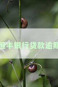恒丰银行贷款逾期怎么办，如何处理恒丰银行贷款逾期问题？