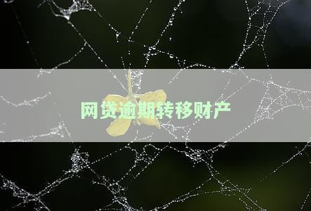网贷逾期转移财产好吗，是否应该在网贷逾期时转移财产？探讨其风险与后果