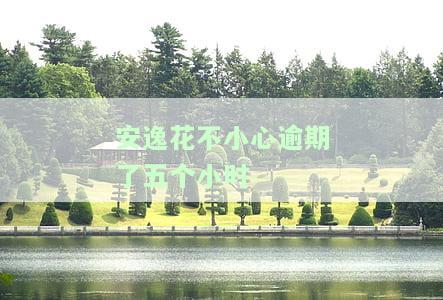 安逸花逾期后仍有额度为何无法使用？已还款能否再次借款？