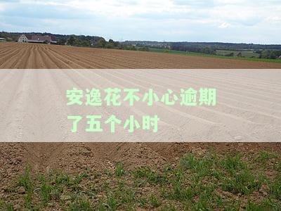 安逸花不小心逾期了五个小时