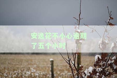 安逸花不小心逾期了五个小时