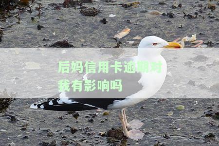后妈贷款失信，是否会影响前妻的孩子？