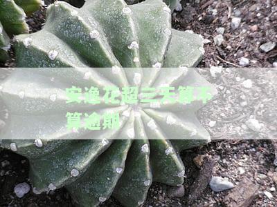 安逸花三天宽限期：为何还需要电话？是否需打客服申请？