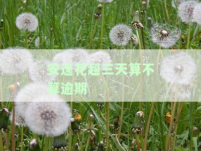 安逸花还三天可行？未接催收电话，能否期一天还款？