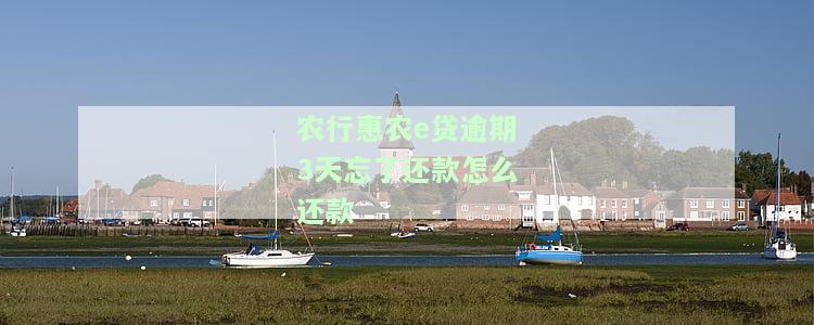 农e贷逾期3天会怎样，农e贷逾期三天：可能面临的后果和应对措