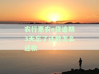 农行农e贷到期可期多久？