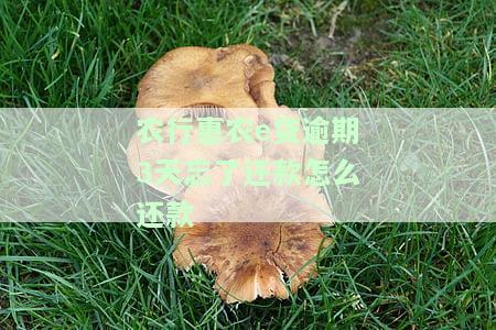 农行农e贷逾期3天忘了还款怎么还款-农行农e贷逾期3天忘了还款怎么还款了