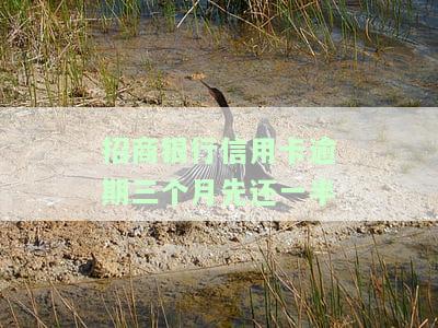 招商银行信用卡逾期三个月先还一半吗，招商银行信用卡逾期三个月，应该先还一半吗？
