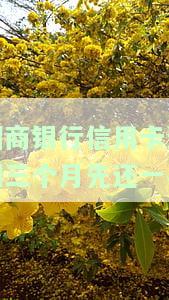 招商银行信用卡逾期三个月，先还一半可以吗？