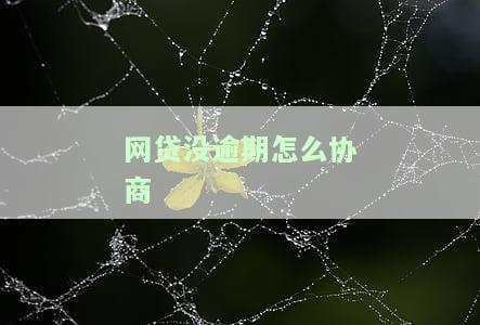 网贷没逾期如何协商分期还款？详解步骤与技巧