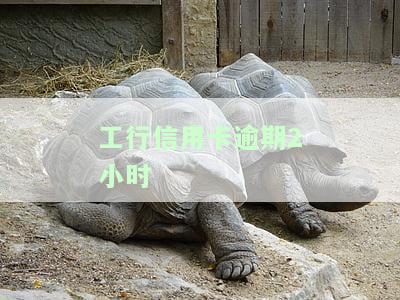 工行信用卡逾期1天的影响：如何计算违约金，是否会上征信？
