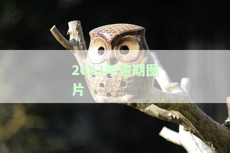 2021年逾期新政策，2021年新政策：逾期还款应对指南