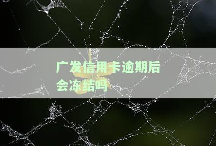 发信用卡逾期后会冻结吗？如何处理？