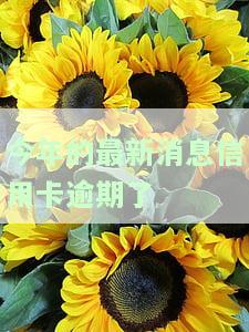 今年的信用卡逾期有什么处理，如何应对今年的信用卡逾期问题？