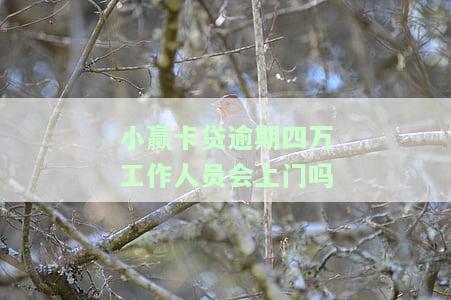 小赢卡贷逾期四万，工作人员会上门催收吗？