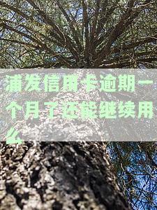 浦发信用卡逾期一个月后能否继续使用？