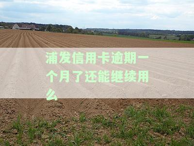 浦发信用卡逾期一个月，能否继续使用？