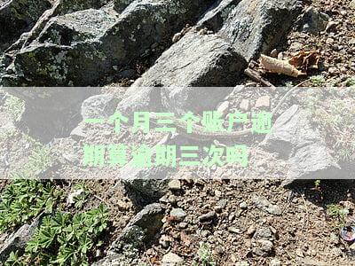一个月内三个账户逾期，是否算逾期三次？