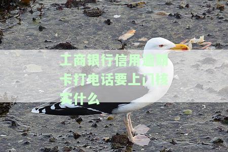 工商银行信用逾期卡打电话要上门核实什么