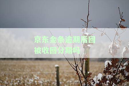 京东金条逾期后还款，能否再次借款？安全性如何？