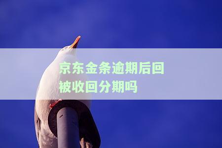 京东金条逾期后全款还清，能否继续使用？