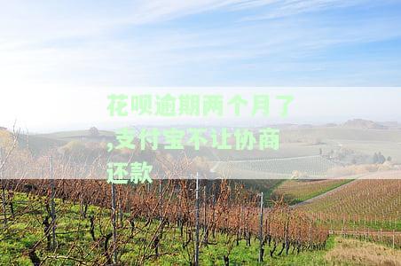 花呗逾期两个月，支付宝不让协商还款，如何解决？
