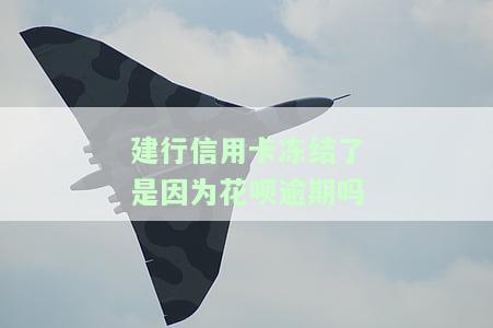 建行信用卡冻结了是因为花呗逾期吗