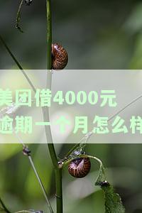 美团借4000元逾期一个月怎么样还款，如何处理美团借款4000元逾期一个月的还款问题？