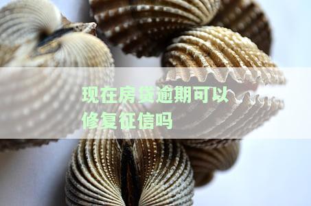 现在房贷逾期是否能修复征信？知乎上有相关答案