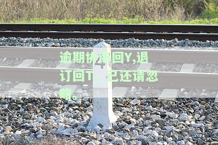 协商还款回复退订回复，拒绝协商还款？退订回复让你权益无忧！