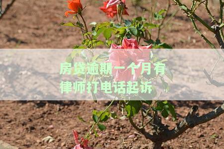 房贷逾期被起诉,律师喊去协调，房贷逾期遭起诉，律师邀约协商解决