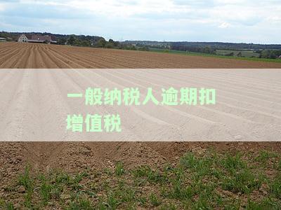 一般纳税人逾期扣增值税的处理方式及后果