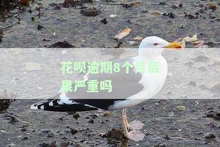 花呗逾期七八个月还了要什么时候才能用，如何知道花呗逾期七八个月后何时可以再次使用？