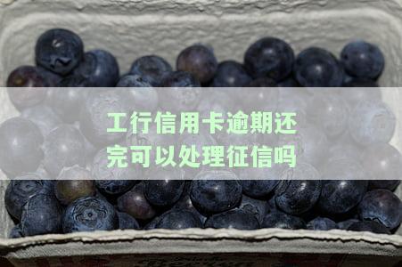 工行信用卡逾期还完可以处理征信吗-工行信用卡逾期还完可以处理征信吗