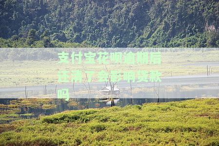 支付宝花呗逾期后还清了会影响贷款吗-支付宝花呗逾期后还清了会影响贷款吗