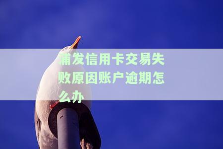 浦发信用卡交易异常：原因及解决办法