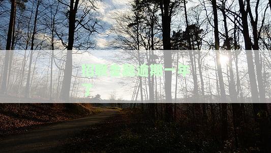 招联金融逾期一年了-招联金融逾期一年了发短信说提交司法送报是真假