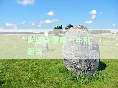 兴闪贷逾期宽限政策：最新期申请指南