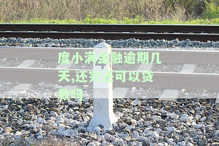 度小满金融逾期几天,还完还可以贷款吗