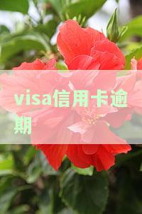 VISA信用卡逾期是否会上征信？有何影响？