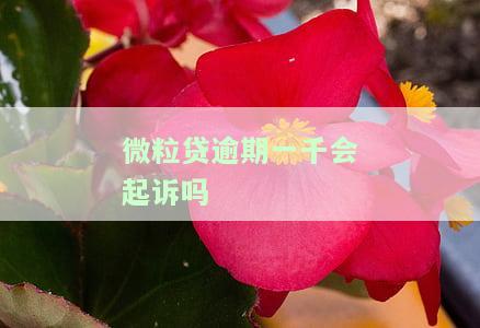 微粒贷逾期一千会起诉吗？真的吗？知乎讨论