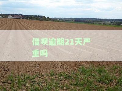 借呗逾期22天，逾期22天，借呗还款警示：立即行动，避免不良信用记录！