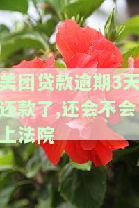 美团贷款逾期3天还款了,还会不会上法院-美团贷款逾期3天还款了,还会不会上法院起诉