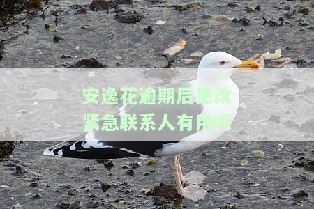 安逸花逾期几天会给紧急联系人打电话？申请期还款攻略全在这里！