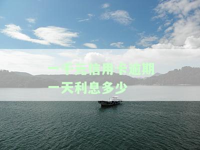 信用卡1000元逾期一年后应还款及利息计算方法