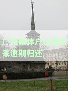 州集体户口借出多久归还：合理期限与频率分析