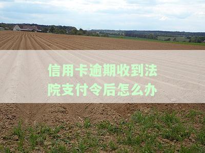 欠信用卡钱收到法院电话：真实情况及应对策略