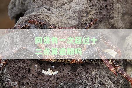 网贷有一次超过十二点算逾期吗-网贷有一次超过十二点算逾期吗怎么办
