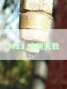 逾期13天会否上征信？信用卡逾期13天的处理方法